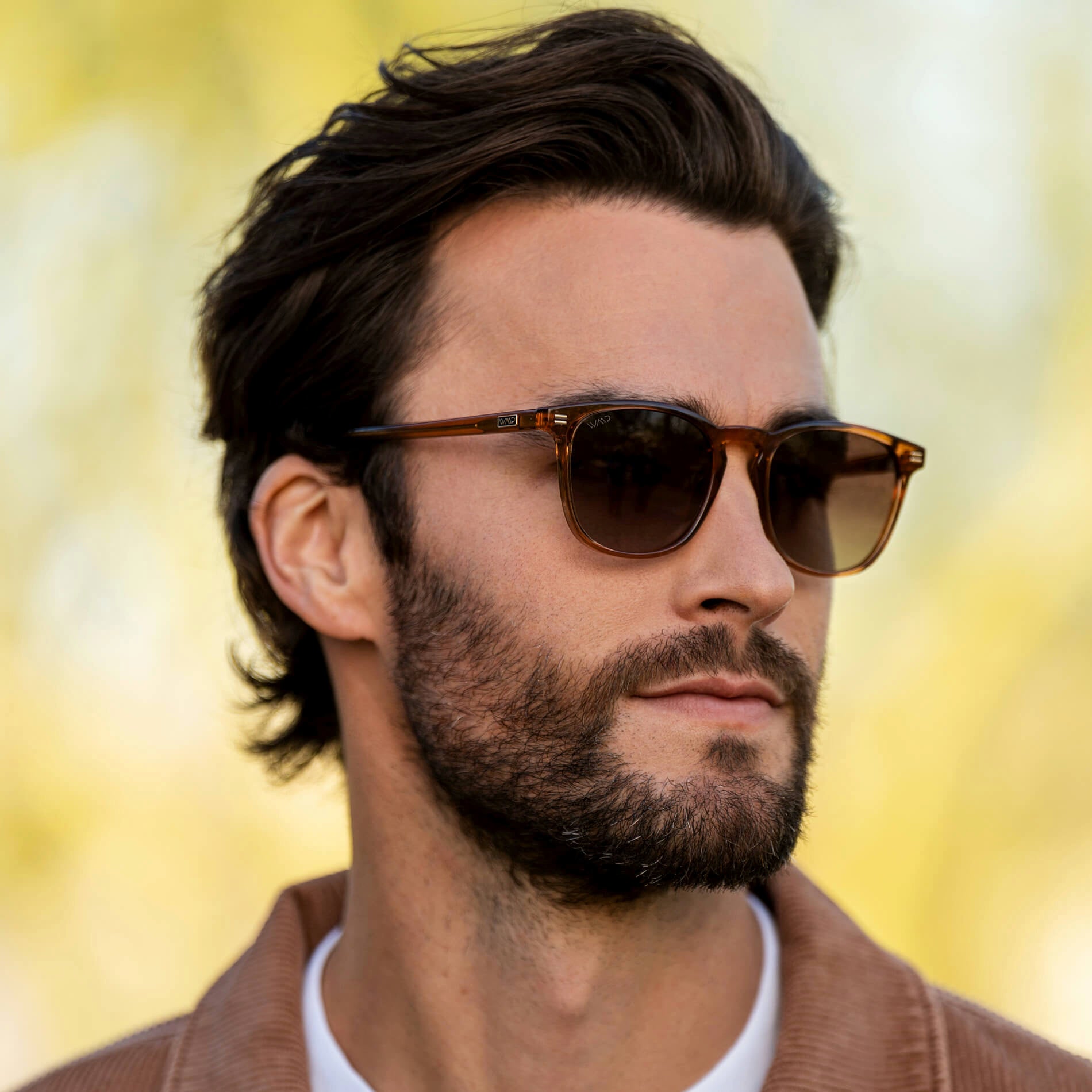 Fashion-forward trendy sunglasses