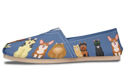 Small Animal Veterinarian Casual Shoes