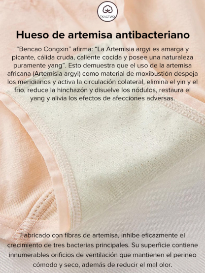 Bragas antibacterianas de artemisa con cintura alta, control de abdomen y levantamiento de glúteos