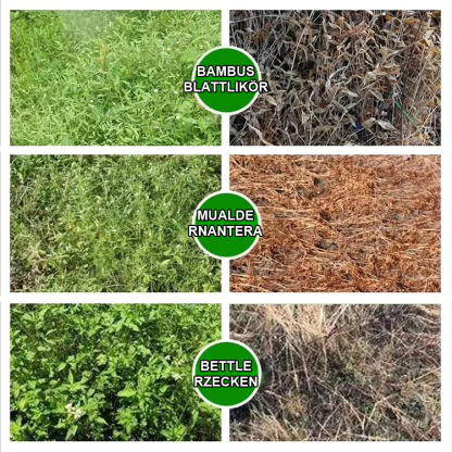 "In just three minutes, it penetrates deep into the roots of weeds, thoroughly destroying them at the source. 🌿 Certified by the EU CE mark, ensuring product safety, eco-friendliness, and health. ✅🌍"