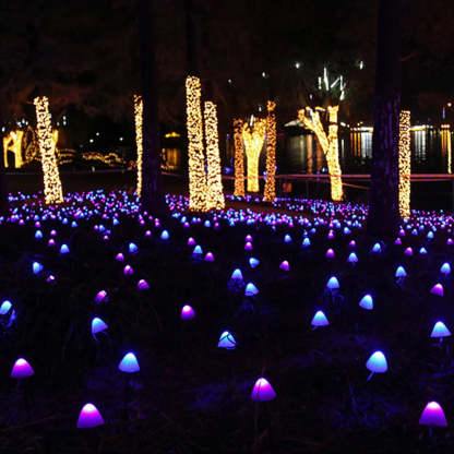 🍄Beautiful garden decoration🍄Mushroom Solar Light String💡