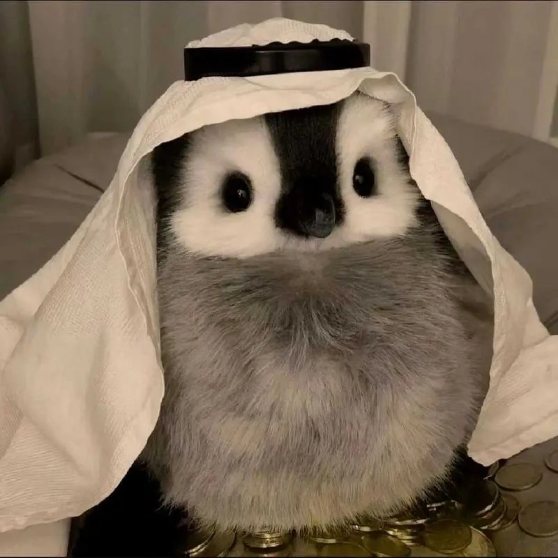 🐧 My Realistic Penguin