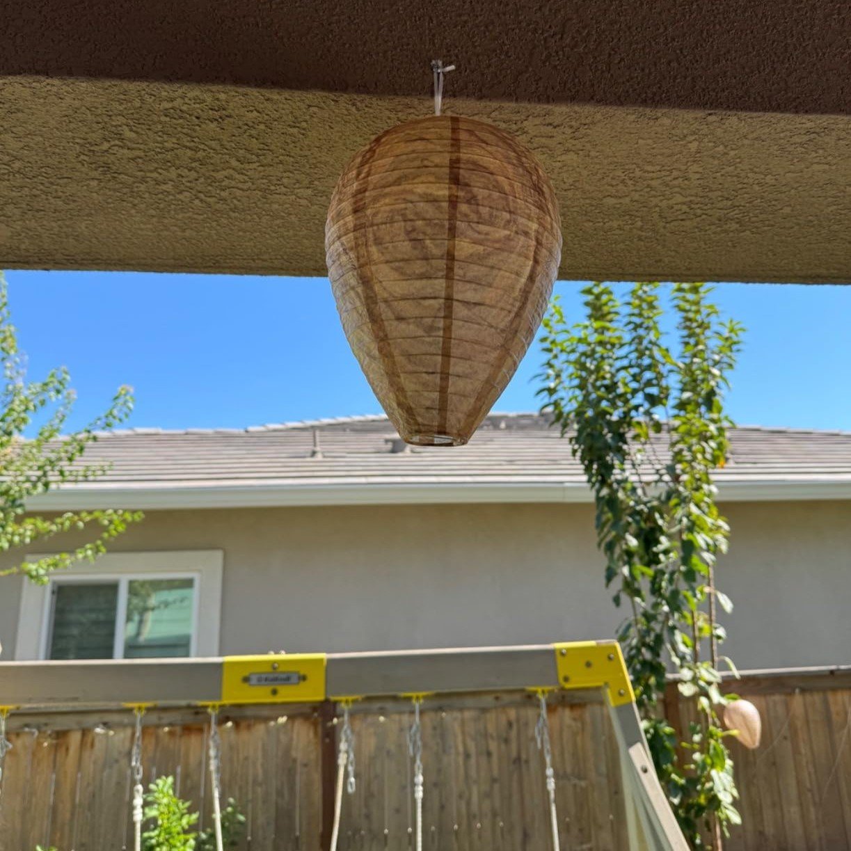 🔥Hot Sale 49% OFF🐝Natural Wasp Deterrent Hive🎁BUY MORE FREE MORE