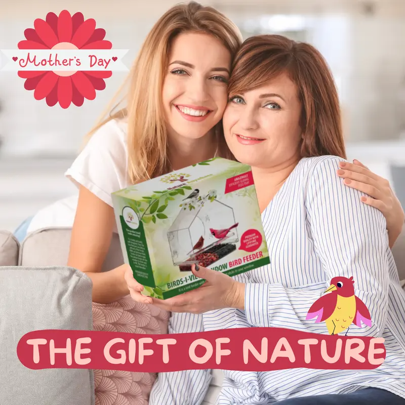 Transparent Acrylic Window Bird Feeder ( BUY 2 FREE SHIPPING)