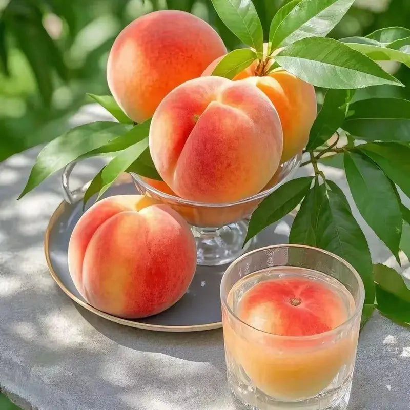 🔥Last Day Sale 49% OFF-🔥 Peach Tree Seedlings High Survival Rate Fast Growing