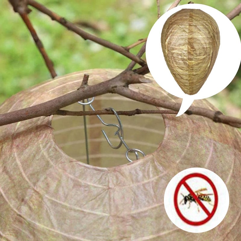 🔥Hot Sale 49% OFF🐝Natural Wasp Deterrent Hive🎁BUY MORE FREE MORE