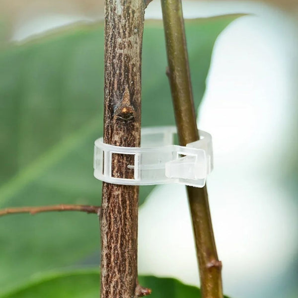 🔥Last Day 49% OFF-Reusable Plant Support Clips (100 clips)