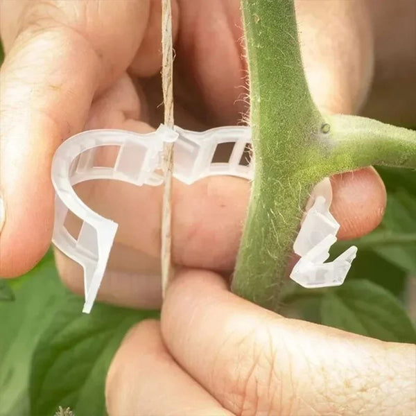 🔥Last Day 49% OFF-Reusable Plant Support Clips (100 clips)