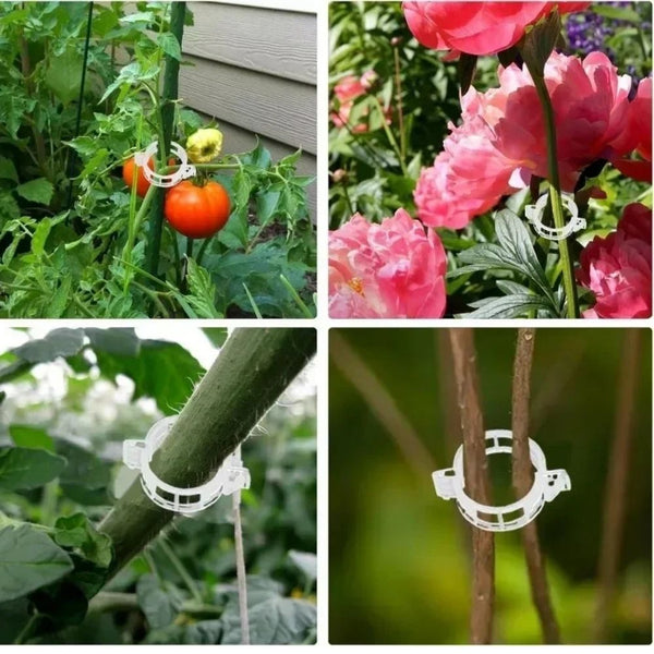 🔥Last Day 49% OFF-Reusable Plant Support Clips (100 clips)