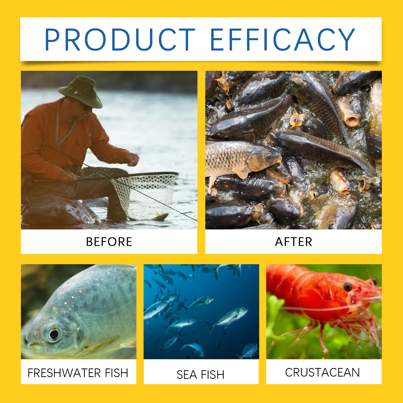 🎣 Concentrated Fish Attractant Liquid – 🐟Fast-Acting Red Worm Formula -- Free Shipping Over $39📦📦