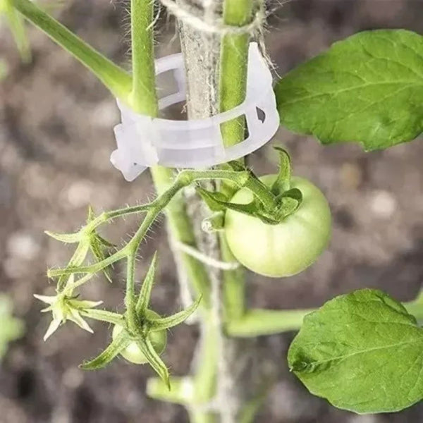 🔥Last Day 49% OFF-Reusable Plant Support Clips (100 clips)
