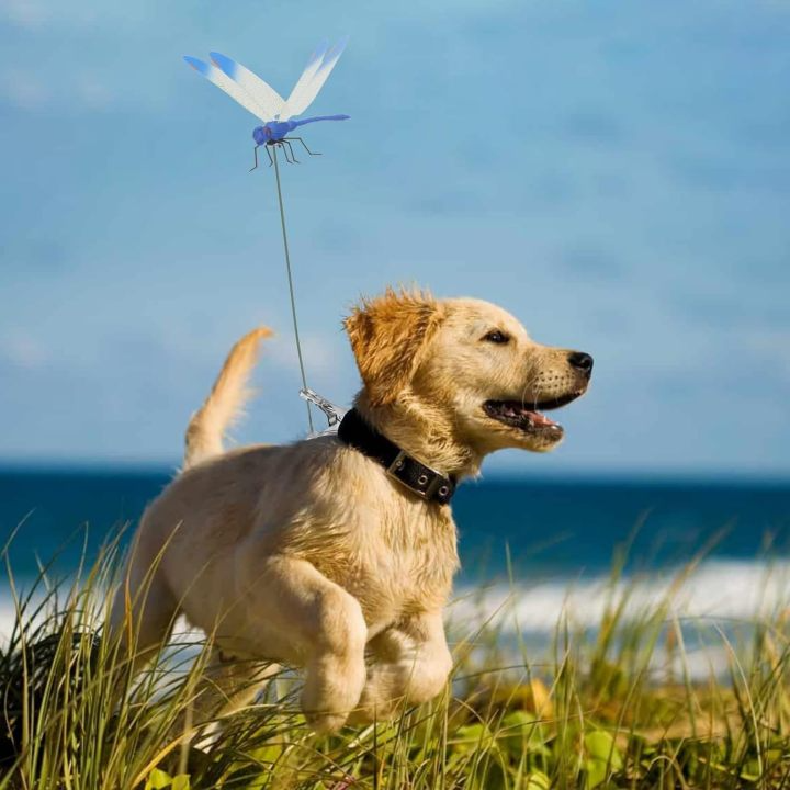 2025 Summer Hot Sale🔥 49% OFF-Dragonfly Clip Bug Repe Llent