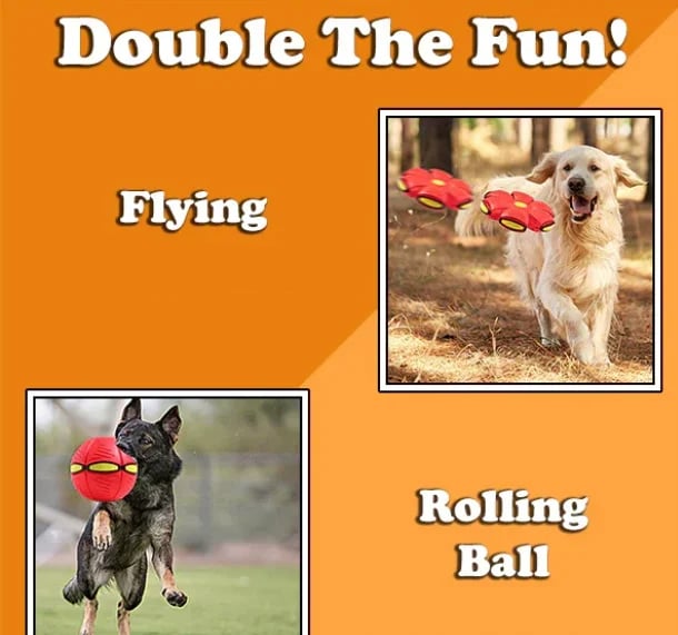 🎄Christmas Flash Sale-50% OFF-The Doggy Disc Ball💞
