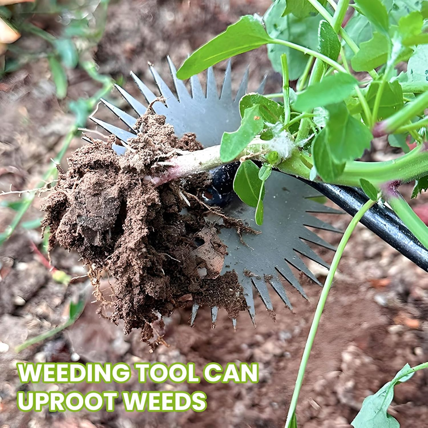 Generic 360° Sunflower Design Garden Hand Weeder Tool 