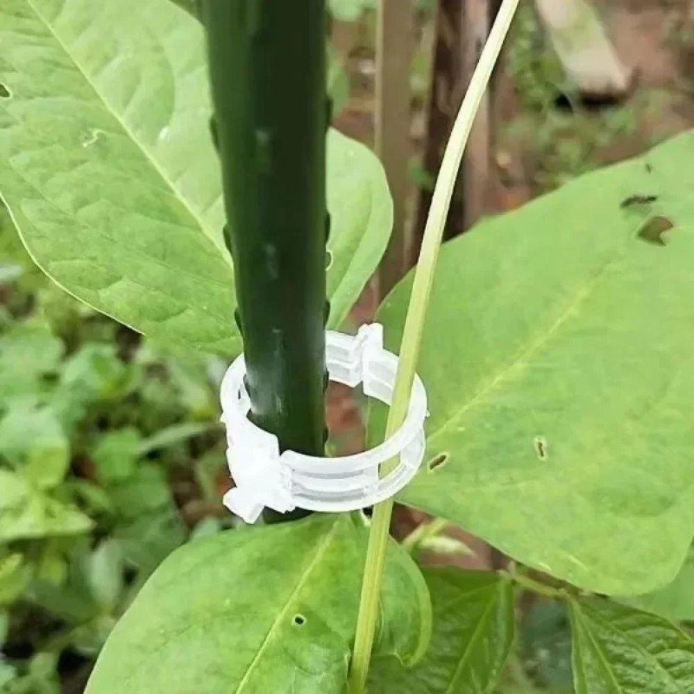 🔥Last Day 49% OFF-Reusable Plant Support Clips (100 clips)
