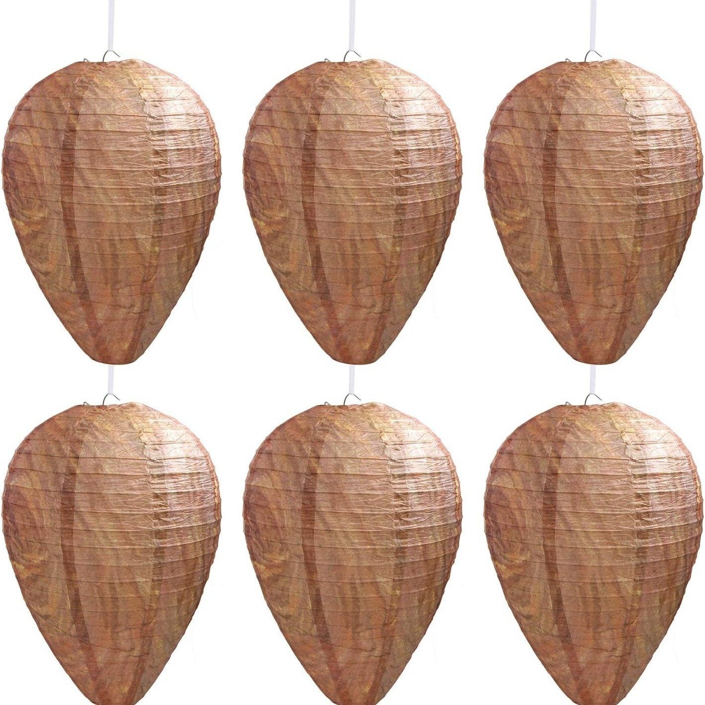 🔥Hot Sale 49% OFF🐝Natural Wasp Deterrent Hive🎁BUY MORE FREE MORE