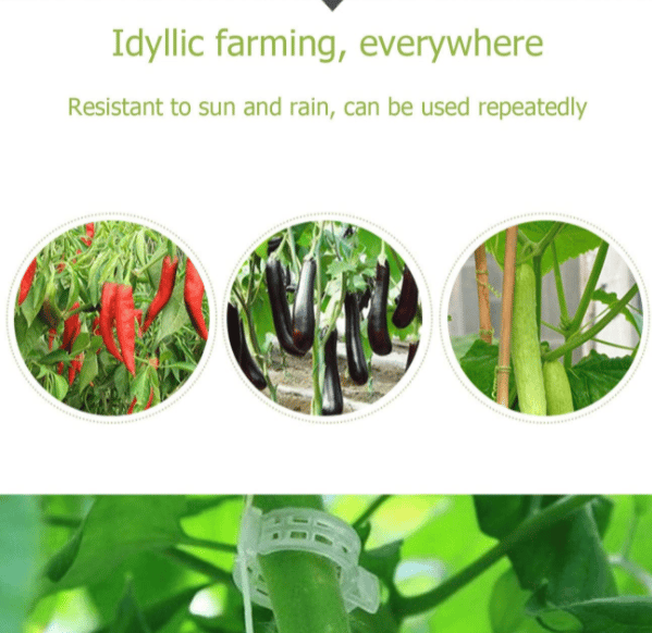 🔥Last Day 49% OFF-Reusable Plant Support Clips (100 clips)