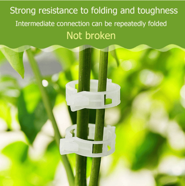 🔥Last Day 49% OFF-Reusable Plant Support Clips (100 clips)