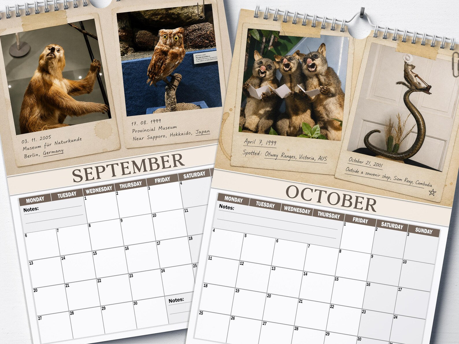 😂Bad Taxidermy Calendar 2027 – Funny & Bizarre Animal Specimens (FREE SHIPPING)\