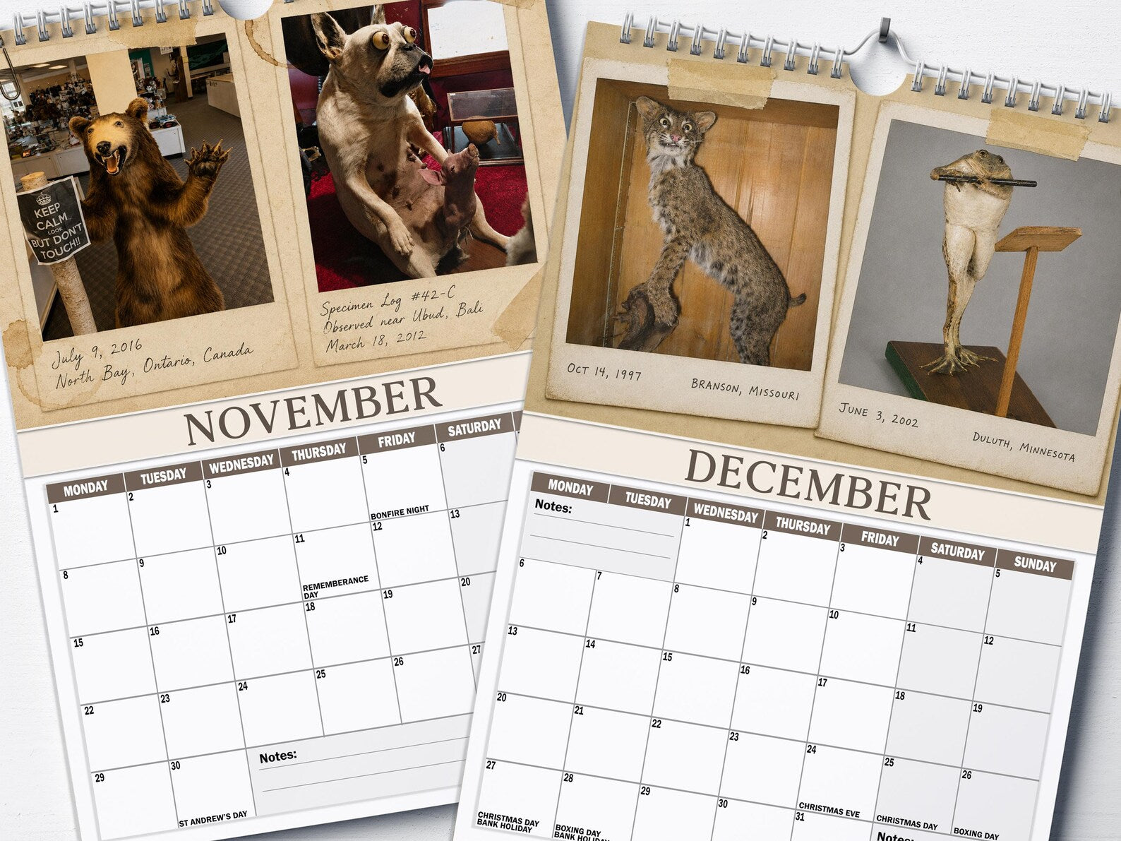 😂Bad Taxidermy Calendar 2027 – Funny & Bizarre Animal Specimens (FREE SHIPPING)\