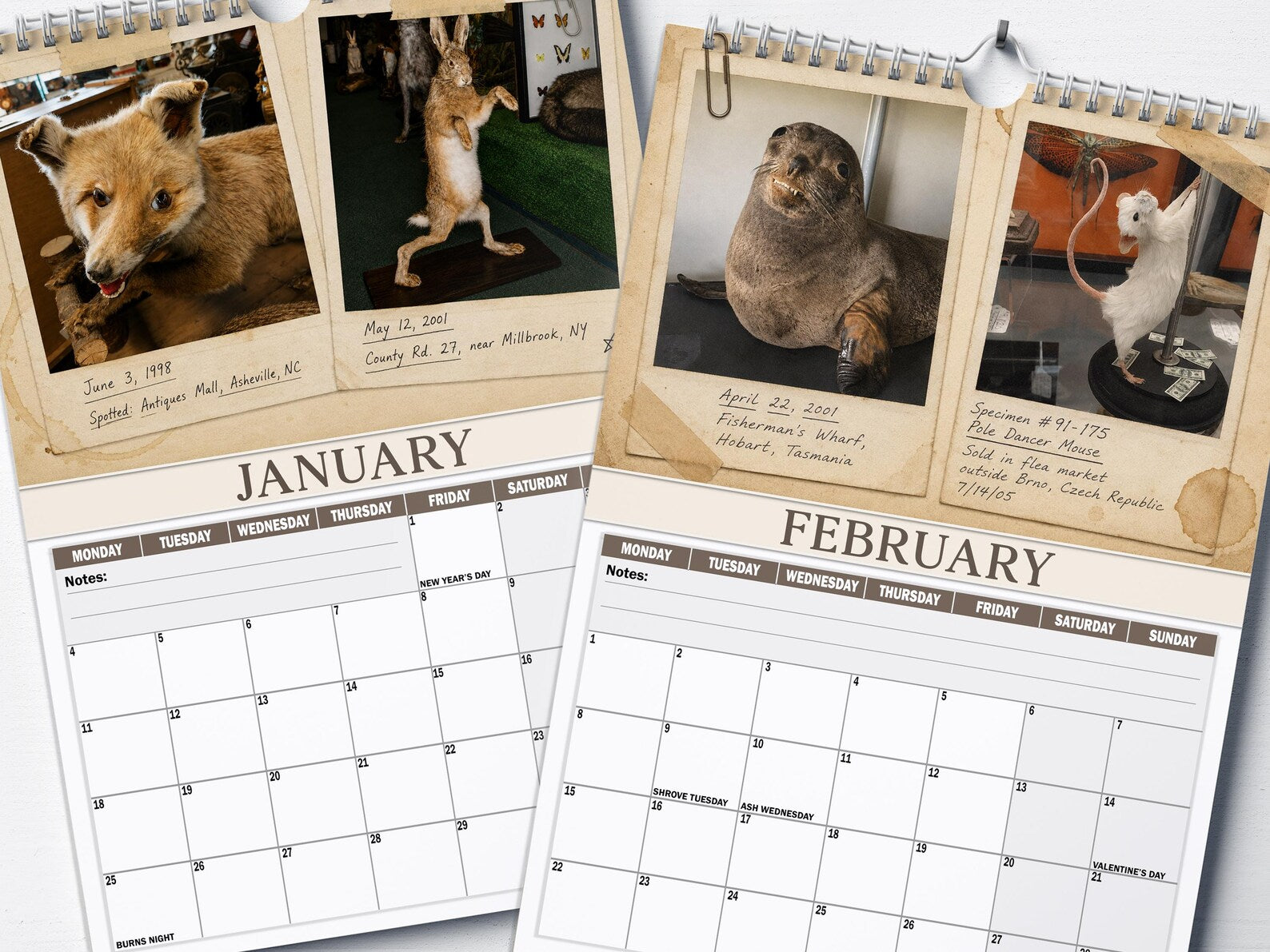 😂Bad Taxidermy Calendar 2027 – Funny & Bizarre Animal Specimens (FREE SHIPPING)\