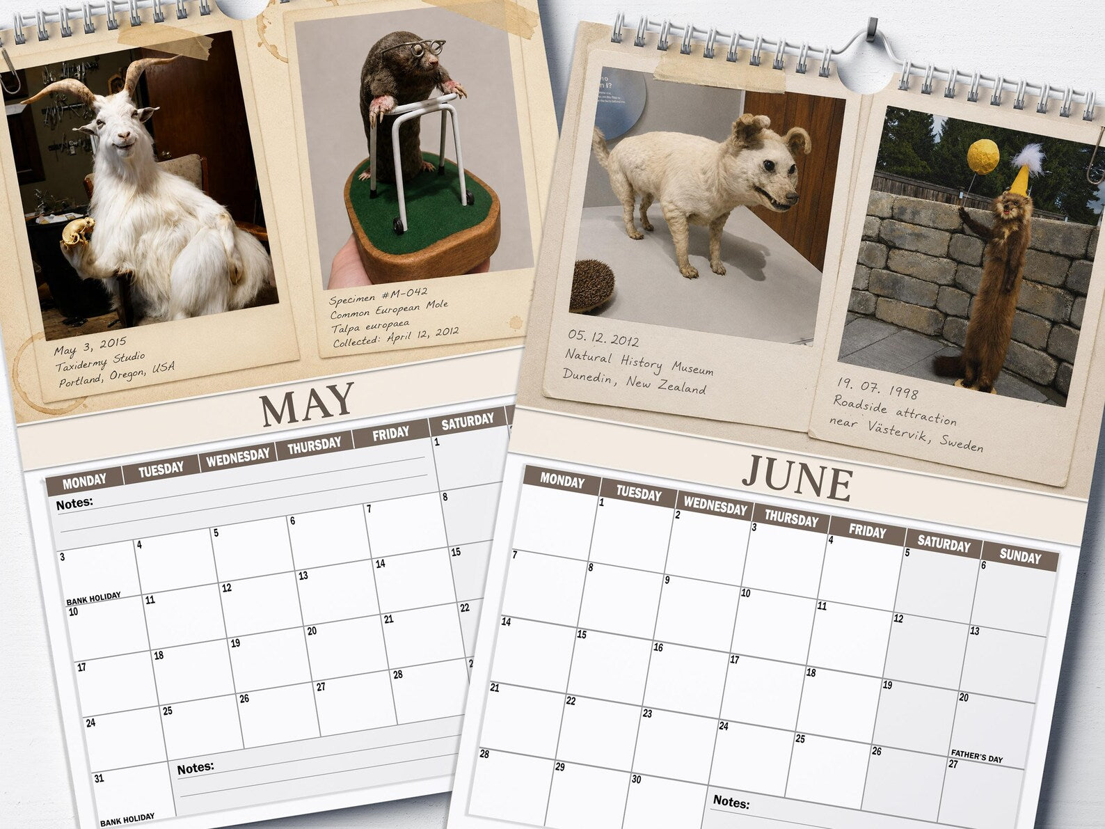 😂Bad Taxidermy Calendar 2027 – Funny & Bizarre Animal Specimens (FREE SHIPPING)\