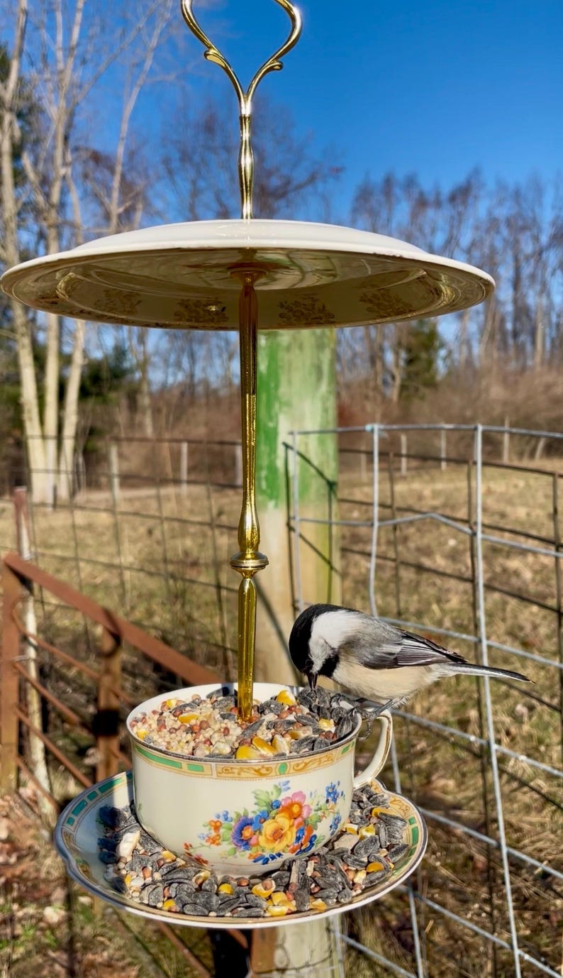 Vintage Teacup Birdfeeder: Whimsical Garden, Patio, Balcony Decor
