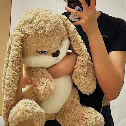 Labor Day 50% Off🔥Meet Broody Angry Rabbit