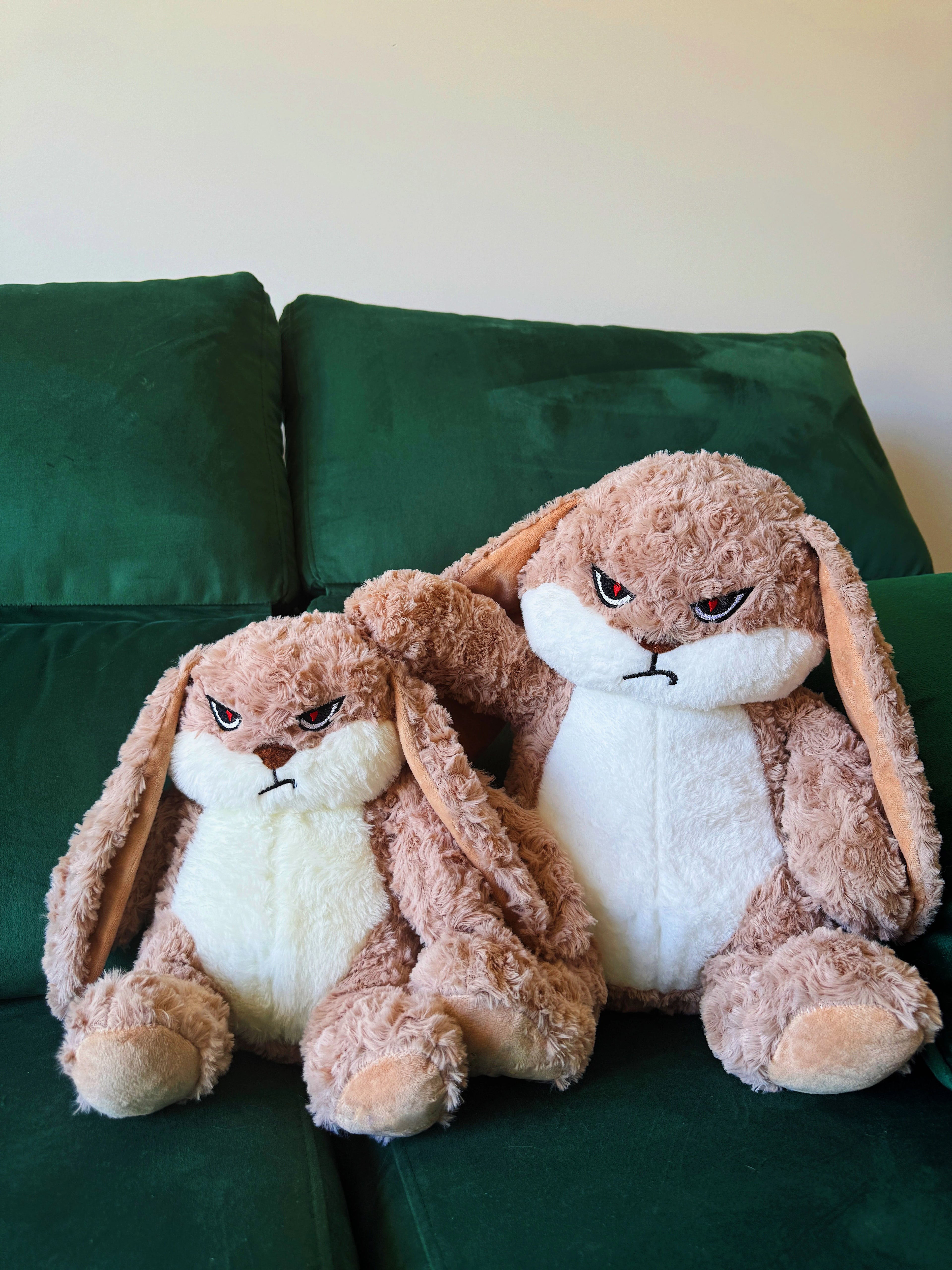 Labor Day 50% Off🔥Meet Broody Angry Rabbit