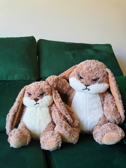 Labor Day 50% Off🔥Meet Broody Angry Rabbit