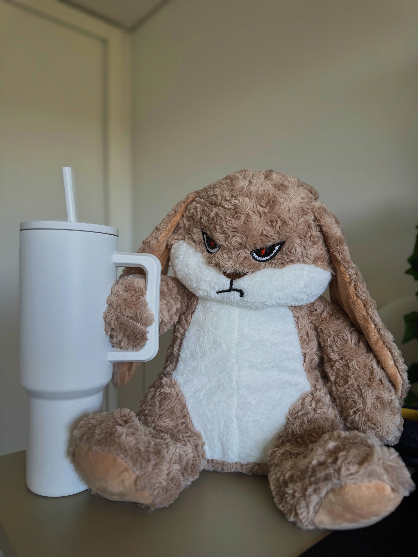 Labor Day 50% Off🔥Meet Broody Angry Rabbit