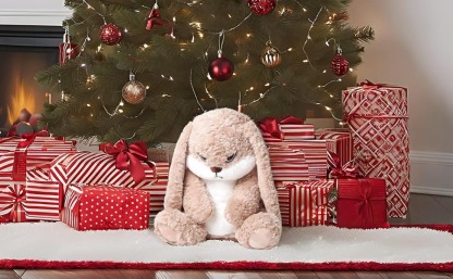 Labor Day 50% Off🔥Meet Broody Angry Rabbit