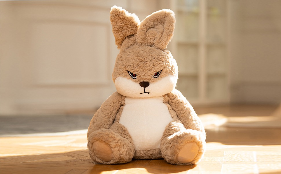 Labor Day 50% Off🔥Meet Broody Angry Rabbit