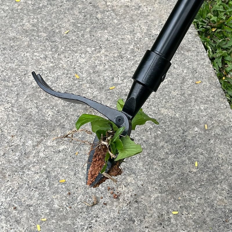 🔥Detachable Stand Up Weed Puller