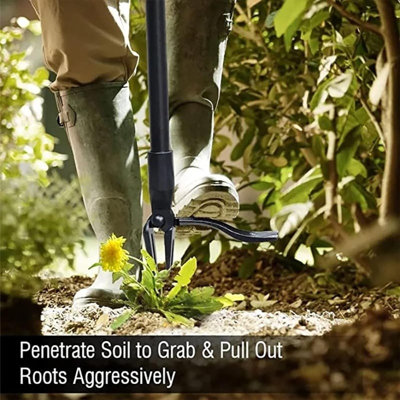 🔥Detachable Stand Up Weed Puller