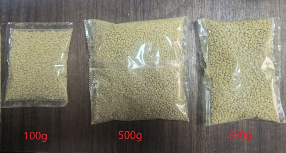 🌱2026 Evergreen Dwarf Grass Seed | For Four Seasons