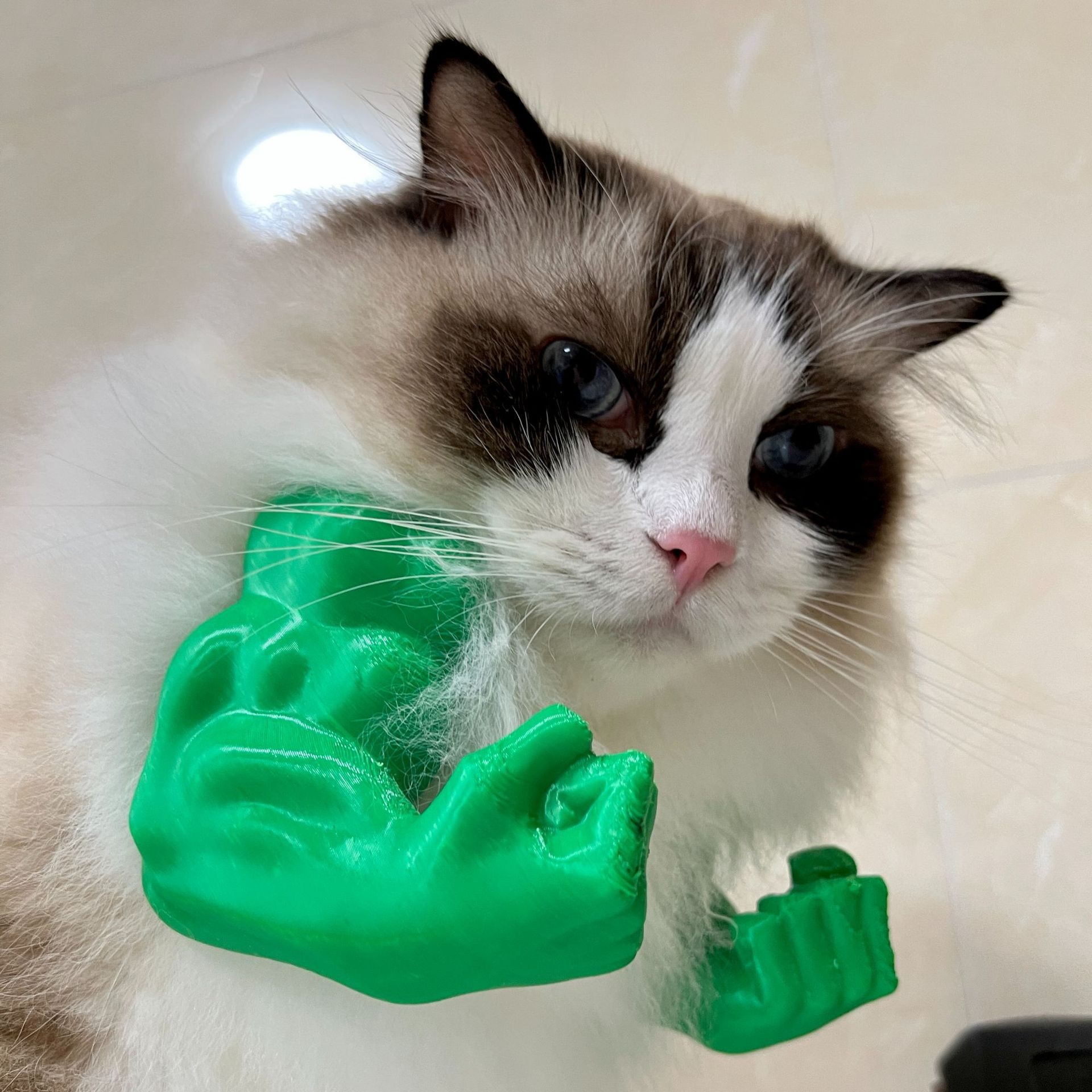 🔥LAST DAY 50% OFF-Muscle Arms for Cat❤️【Buy 2 Free Shipping】