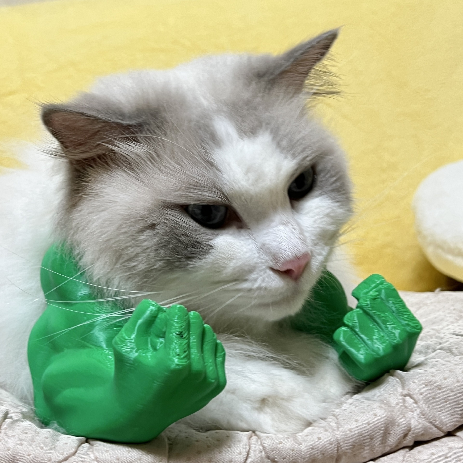 🔥LAST DAY 50% OFF-Muscle Arms for Cat❤️【Buy 2 Free Shipping】