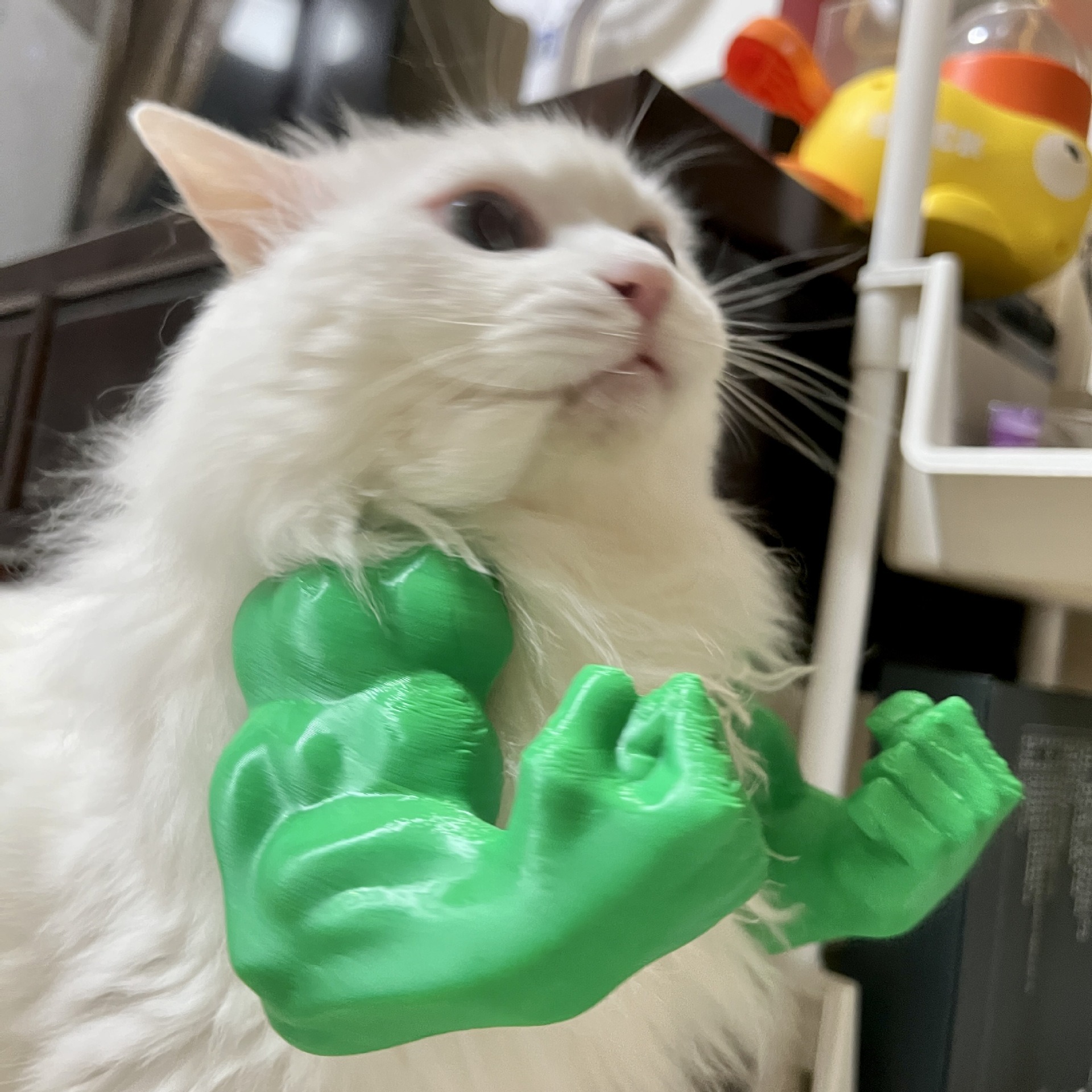 🔥LAST DAY 50% OFF-Muscle Arms for Cat❤️【Buy 2 Free Shipping】