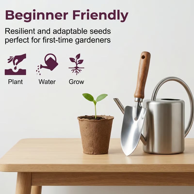 🌳LIMITED-TIME BUY 1 GET 1 FREE⏰🍑 Heirloom Non-GMO Grafted Plum Tree Live Seeds