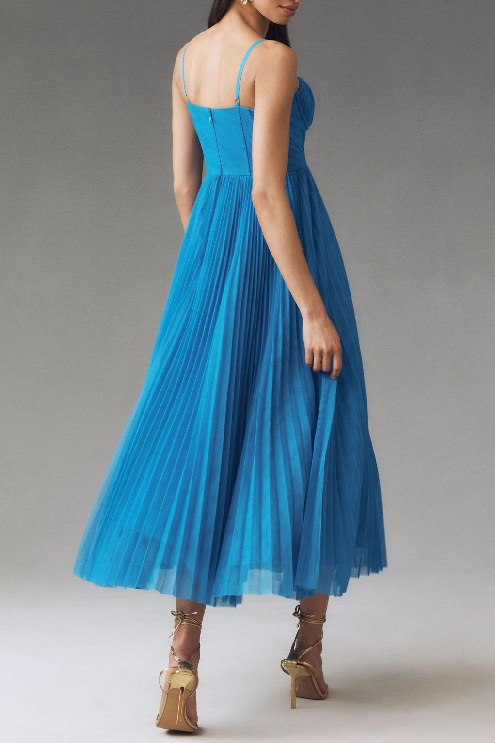 Corset Pleated Tulle Fit & Flare Midi Dress
