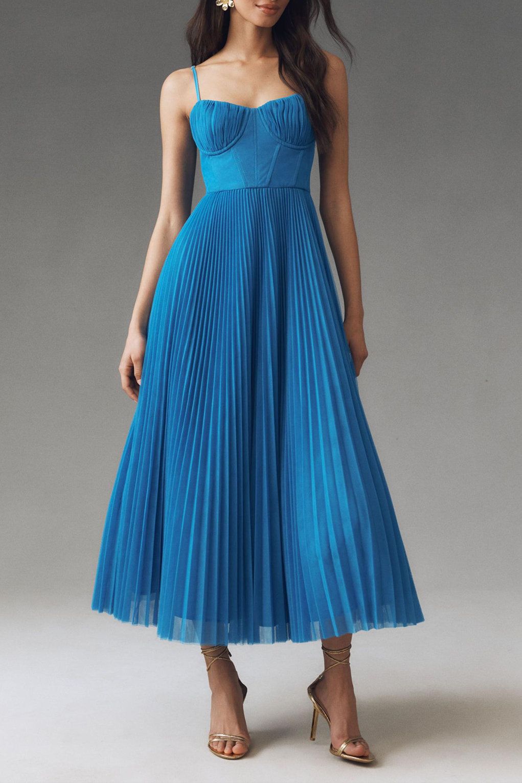 Corset Pleated Tulle Fit & Flare Midi Dress