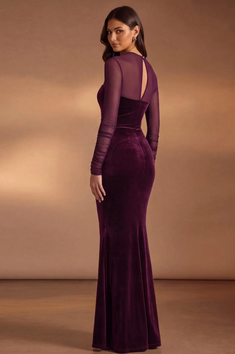 Dark Purple Mermaid High Neck Mesh Long Sleeve Velvet Formal Evening Dress