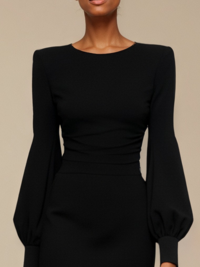 Black Fur Classic Crew Neck Long Sleeve Sheath Mini Dress