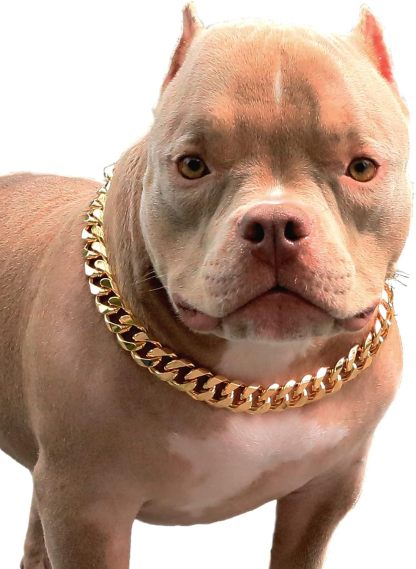 Gold Chain Dog Collar  Width Cuban Link Dog Necklace, Cute Fashion Pet Collar for Small Dogs Puppy, Light Metal Jewelry Chain Puppy Accessories 