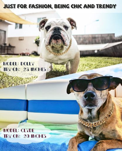 Gold Chain Dog Collar  Width Cuban Link Dog Necklace, Cute Fashion Pet Collar for Small Dogs Puppy, Light Metal Jewelry Chain Puppy Accessories 