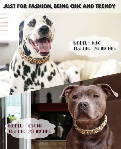 Gold Chain Dog Collar  Width Cuban Link Dog Necklace, Cute Fashion Pet Collar for Small Dogs Puppy, Light Metal Jewelry Chain Puppy Accessories 