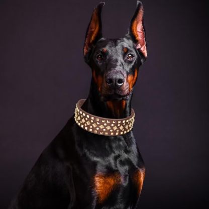 2 inch Wide Studded PU Leather Dog Collars for Medium Dogs, Unique Rivet Design Handmade Luxury Durable Dog Collar 