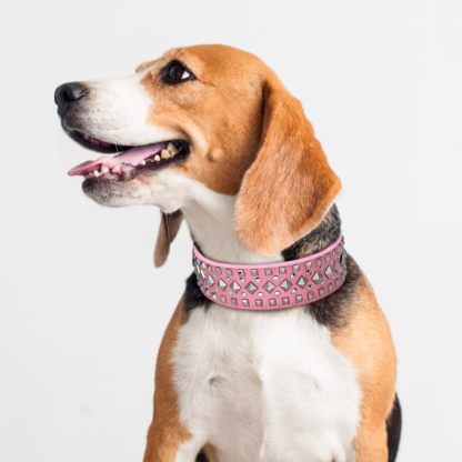 2 inch Wide Studded PU Leather Dog Collars for Medium Dogs, Unique Rivet Design Handmade Luxury Durable Dog Collar 