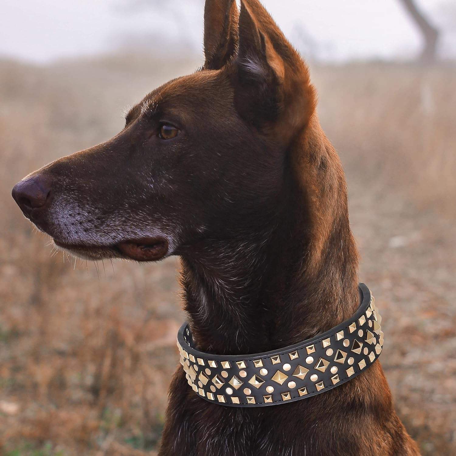 2 inch Wide Studded PU Leather Dog Collars for Medium Dogs, Unique Rivet Design Handmade Luxury Durable Dog Collar 